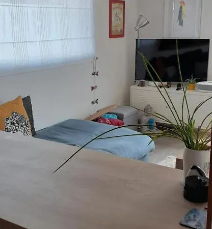 Maison Moderne Mitoyenne Exposee Plein Sud Avec Terrasse Ferienhaus *